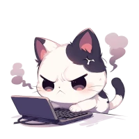 an angry cat types on the computer